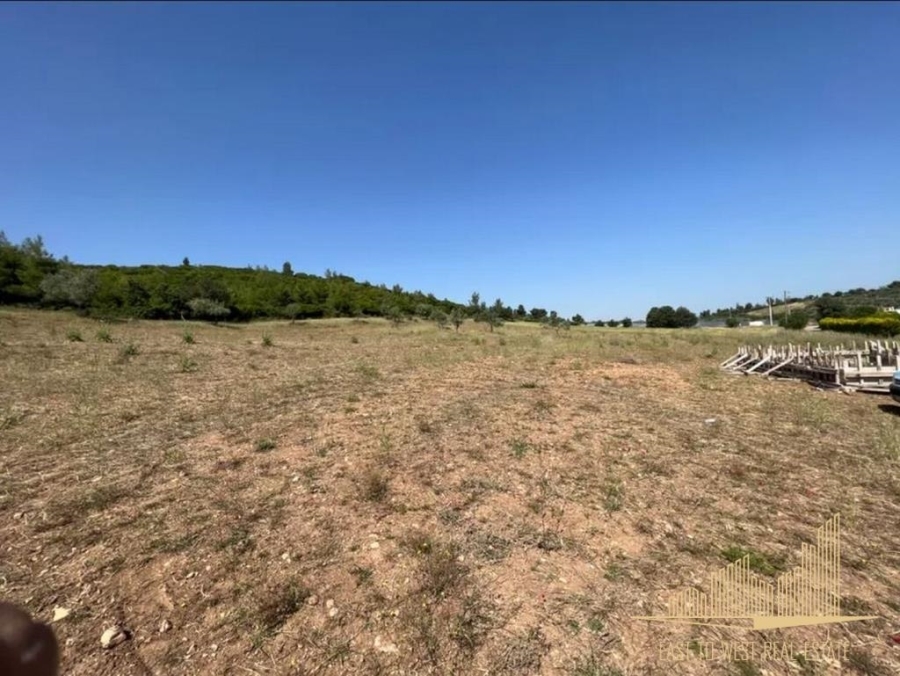(Zum Verkauf) Nutzbares Land Grundstück || East Attica/Sykaminos - 10.000 m², 65.000€ 