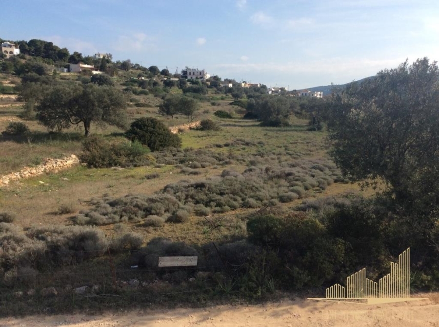 (Zum Verkauf) Nutzbares Land Grundstück || Piraias/Aigina - 2.487 m², 120.000€ 